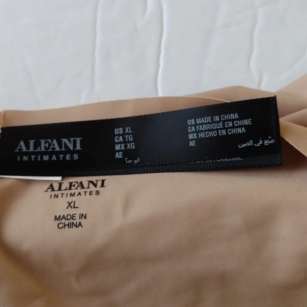 Alfani‎ Intimates Woman's Laser Cut Hipster Underwear Panties Latte Cafe XLarge